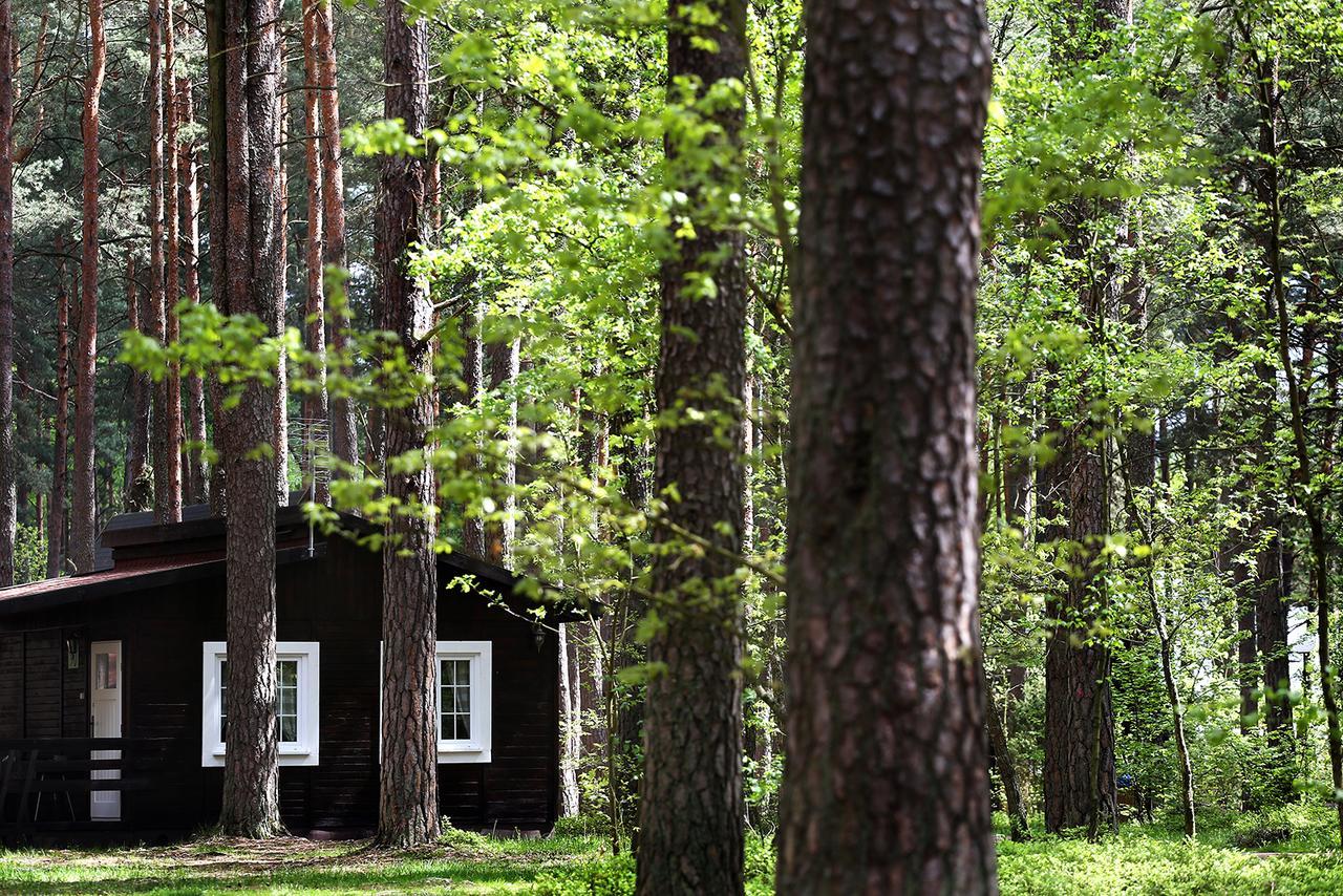 Wiatraki Nature Resort 奥尔什蒂内克 外观 照片